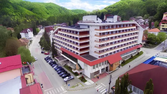 Hotel Olanesti & Spa Medical