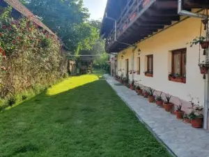 Pensiunea Leia Cârțișoara