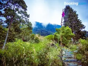 Glamping Entre Nubes