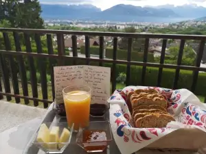 Studio Bellevue appart indépendant rénové 2024 piscine parking proche centre Annecy