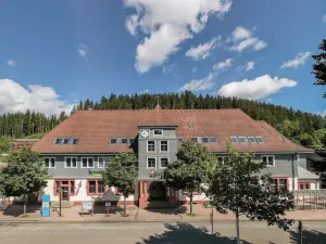 Coucou Hotel & Kuckucks-Stube (Titisee)