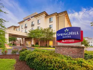 SpringHill Suites Lafayette South at River Ranch