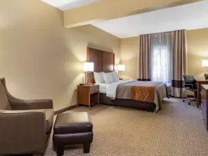 Comfort Inn & Suites Suwanee - Sugarloaf