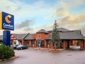 Comfort Hotel & Suites