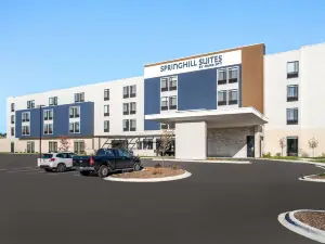 曼諾米尼福爾斯春希爾套房飯店