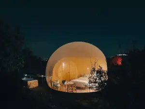 노체스 데 칼리그