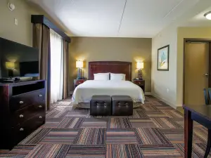 Hampton Inn & Suites Flowery Branch Lake Lanier