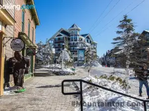 ML254 EZ Slope Access 1Br 1BA Close to Village EZ Parking WiFi Clean