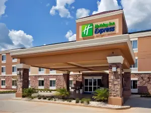 Holiday Inn Express 勒德洛