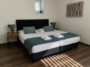 IQ Apartments