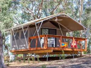 Port Stephens Koala Sanctuary
