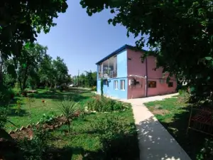 Novel House