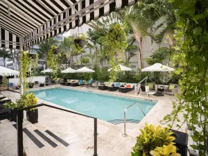 Hotel Croydon Miami Beach