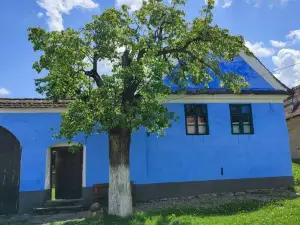 Verde de Viscri
