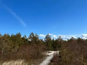 BlueSeaPearl Apartamentai Palanga, Šventoji