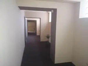 Vila Crinul
