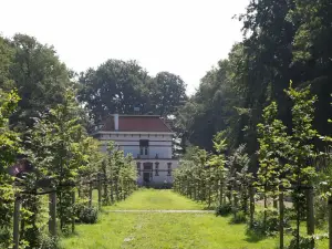 Bed & Breakfast Rijsterbosch