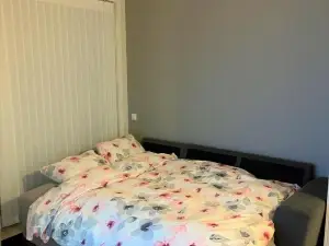 Scandpoint Apartments OSLO ski in ski out all year in SNOOSLO with Free Parking