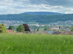 Stilvolle Wohnung in Idyllischer Lage
