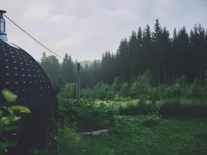 Blickinsfreie