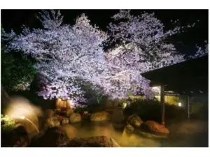 Shogawa Onsen Yumetsuzuri