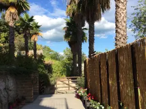 Agave Resort