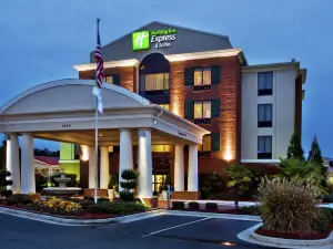 Holiday Inn Express & Suites MCDONOUGH by IHG