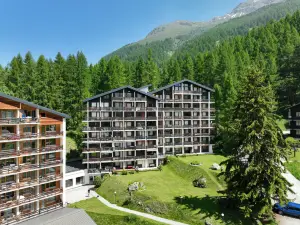 Les Erables Apt 361