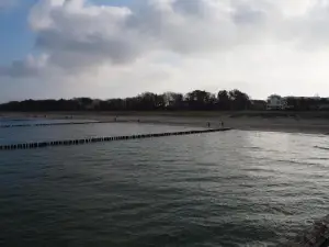 Strandmuschel