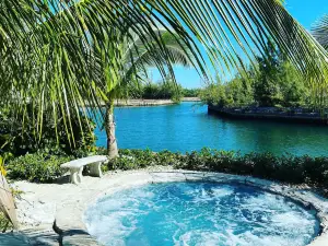 Dolphin Cove