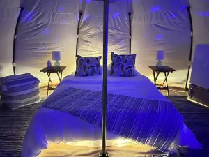 Stargazing Glamping Near Ellicottville NY @ Campground Adventures
