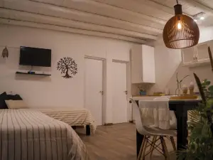 Complejo Willy Pampa - 1 bedroom apartment in delightful Barreal with WiFi, AC