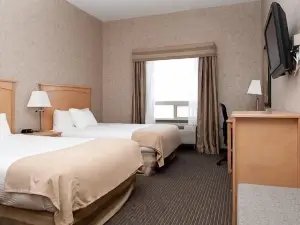Paradise Inn and Suites