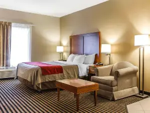 Comfort Inn Owatonna Near Medical Center