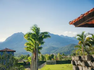 포우사다 플로르 데 페네두