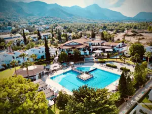 The Olive Tree Hotel