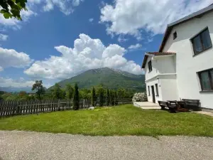 Visitor Yard