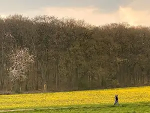 Appartement Osso Arnhem