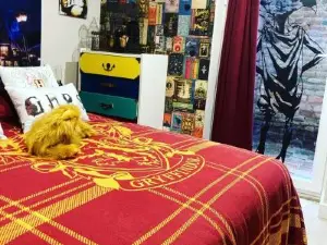 Les sorciers, la Diligence St Jean de Losne Escape game immersif