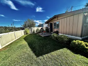 Mid-Century Treehouse with Yard and Views! AMAZING Location! Pet-friendly!