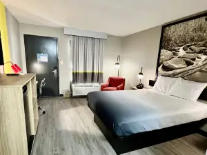 슈퍼 8 바이 윈덤 맨체스터 TN