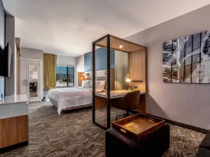 奧克蘭機場SpringHill Suites飯店