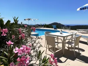Saha Tourist Accommodation Among Olive Trees and Sea View