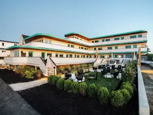 เดอะ เนวาดา