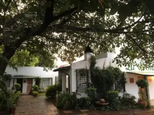La Bella B&B under the Fig Tree