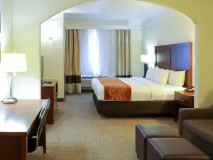 Comfort Inn & Suites, Odessa I-20