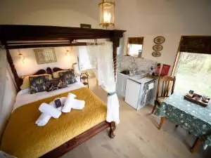 Araucaria Croft Skye