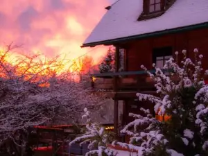 Gibbesbachhof Black Forest Apartments
