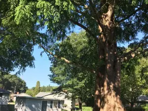 CLEAN ~Lake Michigan Sandy Beach Access~ Pet Friendly ~ Hot tub ~ Sleeps 10