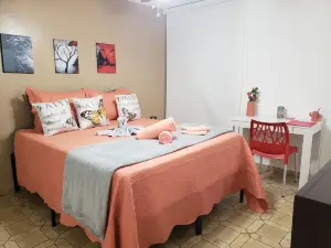 Mirador Cafetalero Yauco / penthouse with amazing and relaxing mountains views